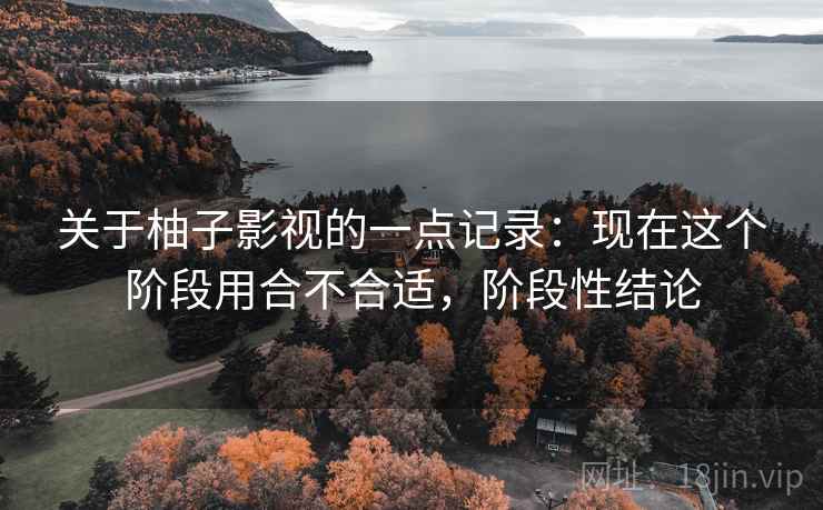 关于柚子影视的一点记录：现在这个阶段用合不合适，阶段性结论