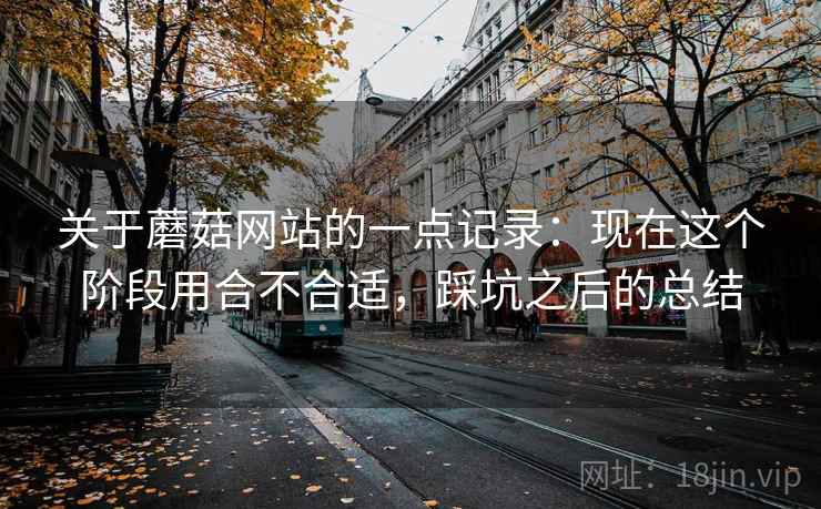 关于蘑菇网站的一点记录：现在这个阶段用合不合适，踩坑之后的总结