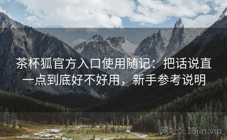 茶杯狐官方入口使用随记：把话说直一点到底好不好用，新手参考说明