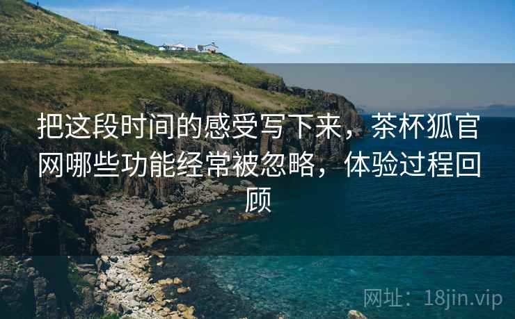 把这段时间的感受写下来，茶杯狐官网哪些功能经常被忽略，体验过程回顾